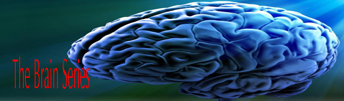 brain